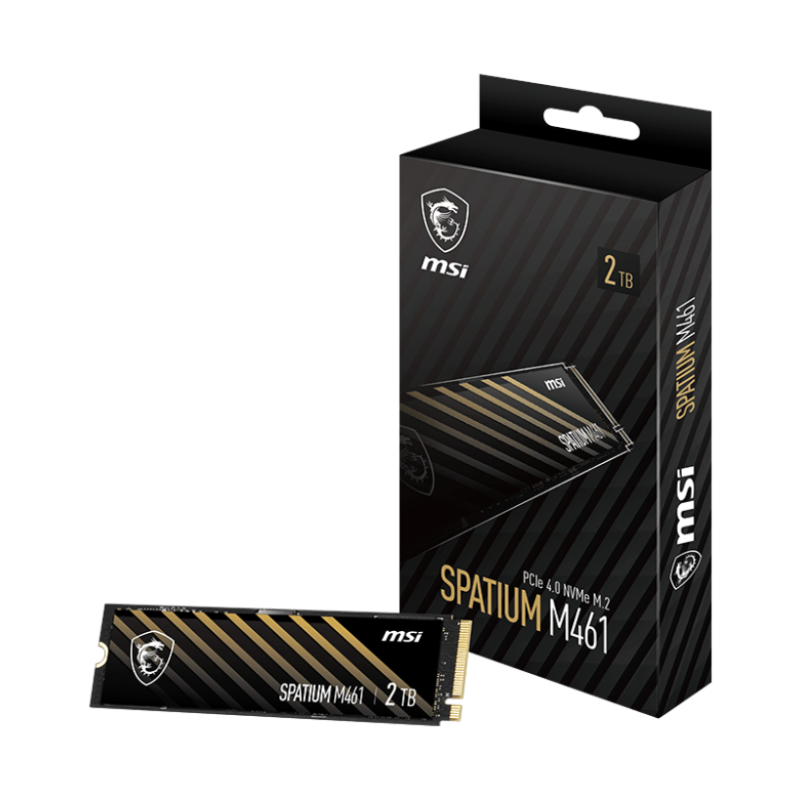 MSI SPATIUM M461 PCIe 4.0 NVMe M.2 2TB